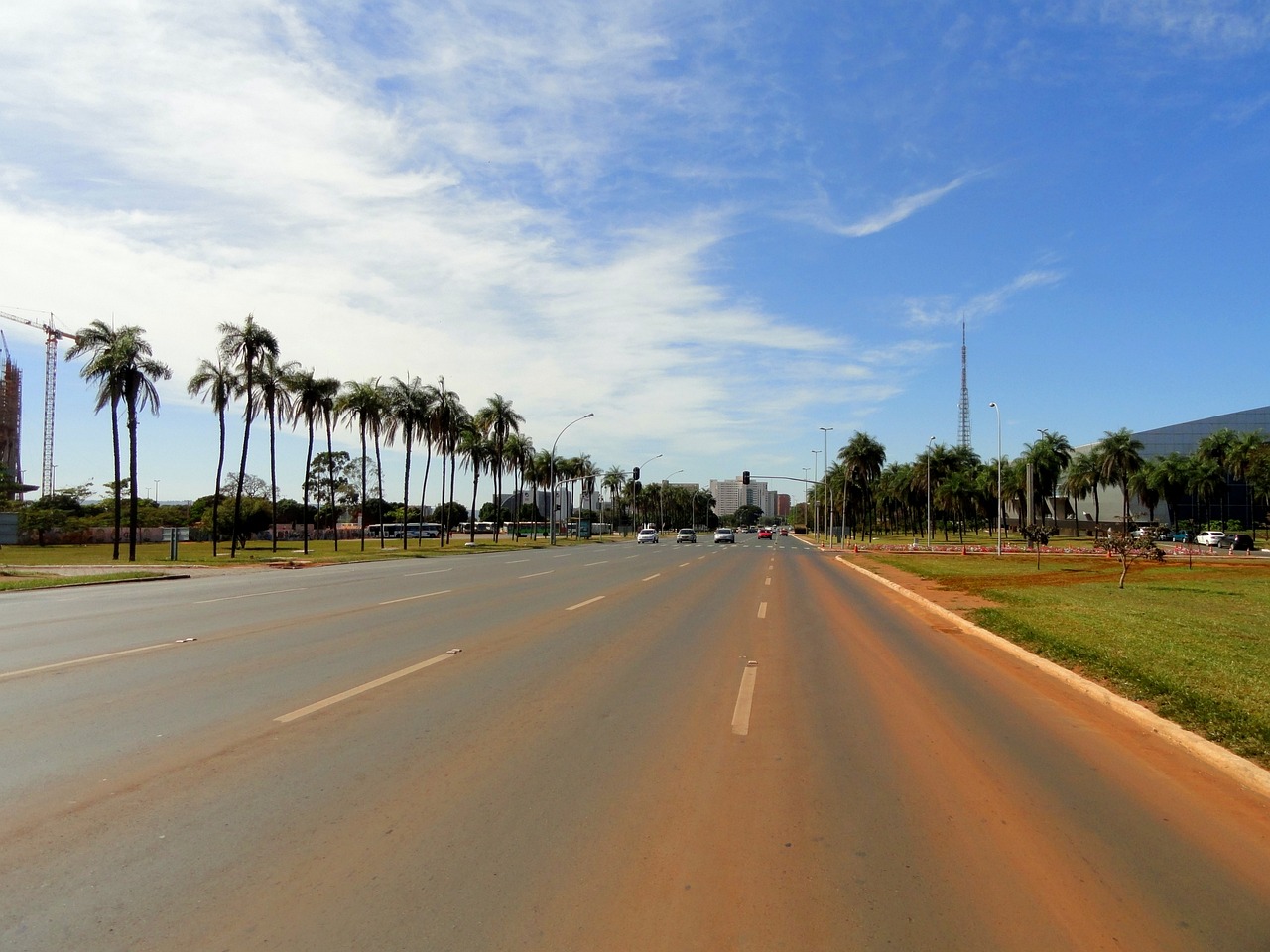 Você Sabia? Brasília Tem Mais Árvores do que Habitantes!