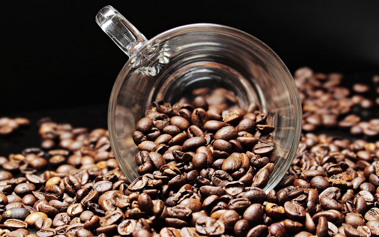 Top 5 Cafeterias para Conhecer em Brasília