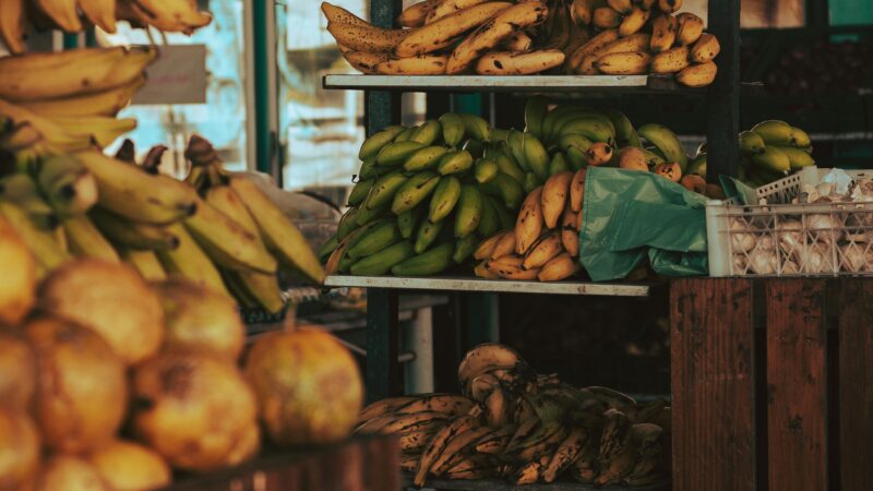 Feiras Orgânicas em Alta no DF: Onde Encontrar Alimentos Saudáveis e Sustentáveis em Brasília