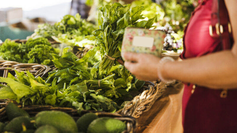 Onde Comprar Produtos Regionais do Cerrado em Brasília