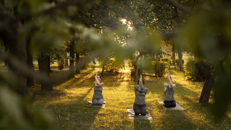 Yoga e Meditação ao Ar Livre: Espaços Tranquilos na Capital