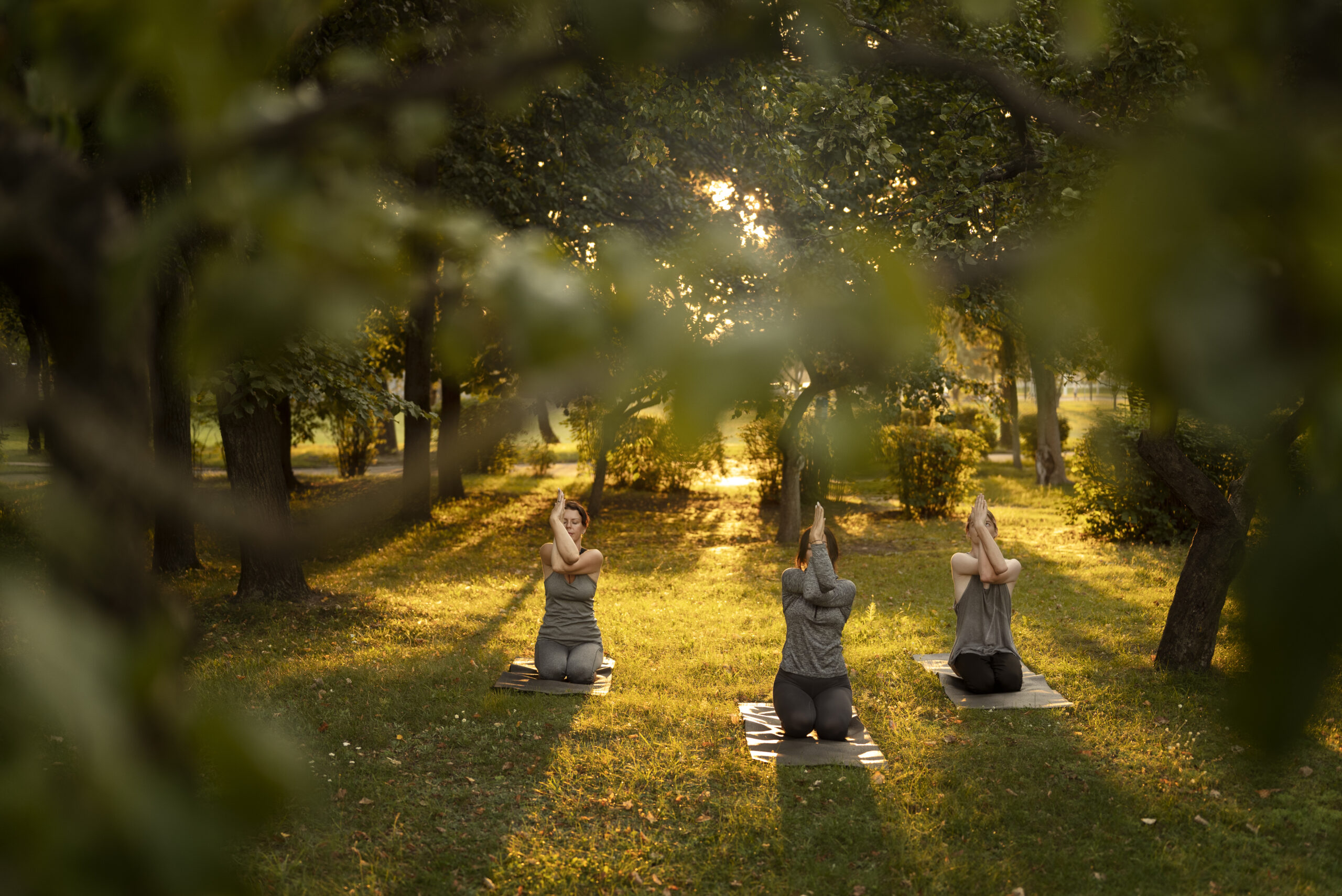 Yoga e Meditação ao Ar Livre: Espaços Tranquilos na Capital