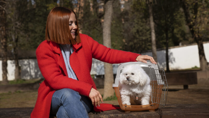 Brasília Pet Friendly: Locais que Aceitam Animais para Curtir com seu Melhor Amigo