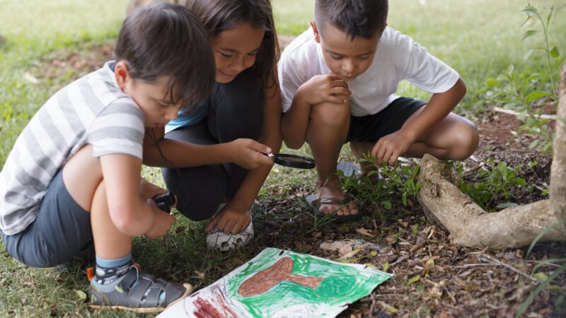 O Papel dos Parques Ecológicos na Educação Ambiental