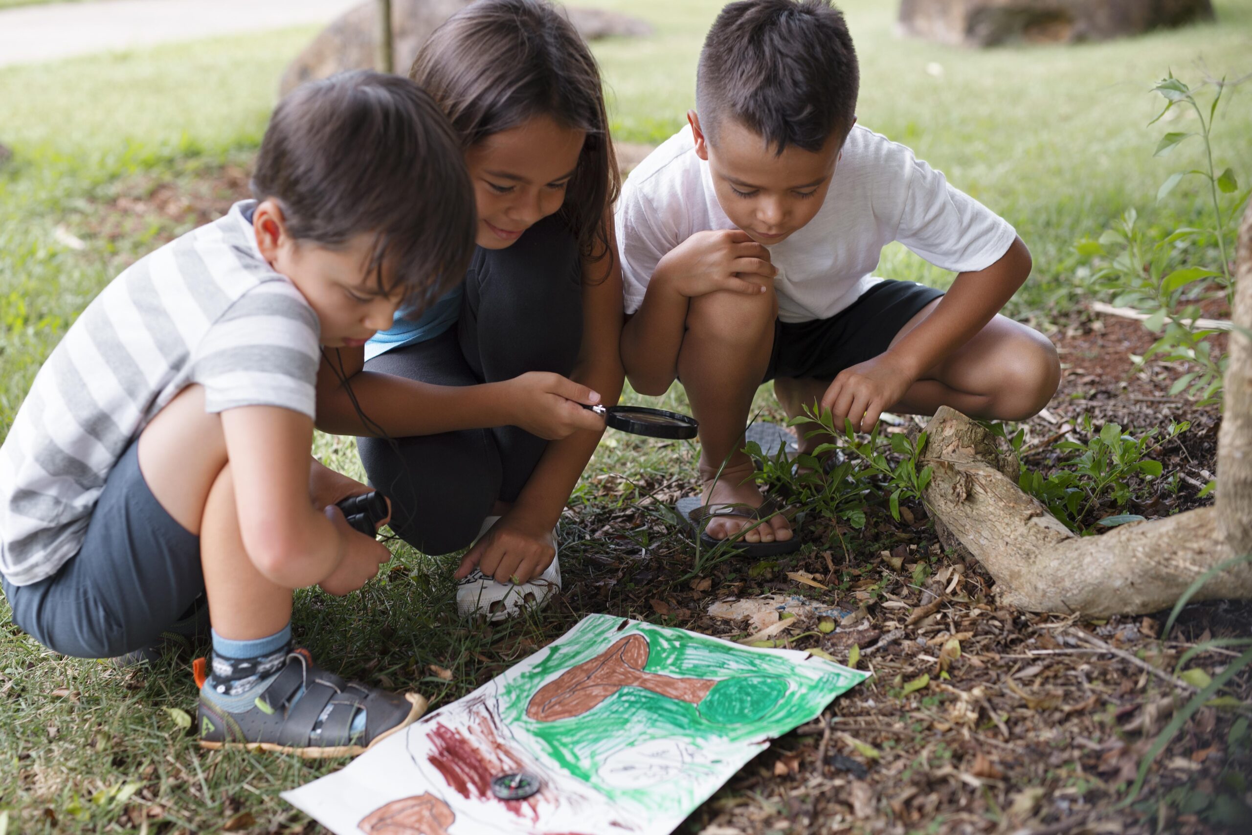 O Papel dos Parques Ecológicos na Educação Ambiental