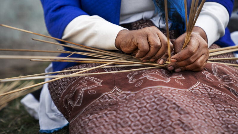 Onde Encontrar Artesanato Indígena no DF: Riqueza Cultural e Fortalecimento Comunitário