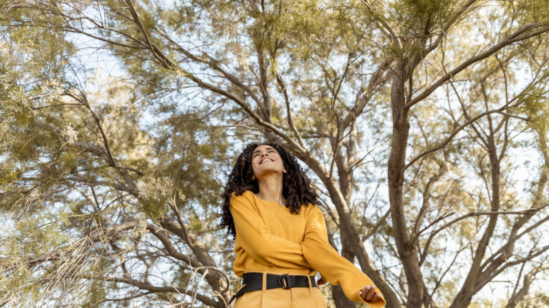 O Cerrado e a Primavera: Como a Estação Transforma a Cidade