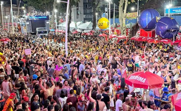 Dicas de Segurança no Carnaval do DF