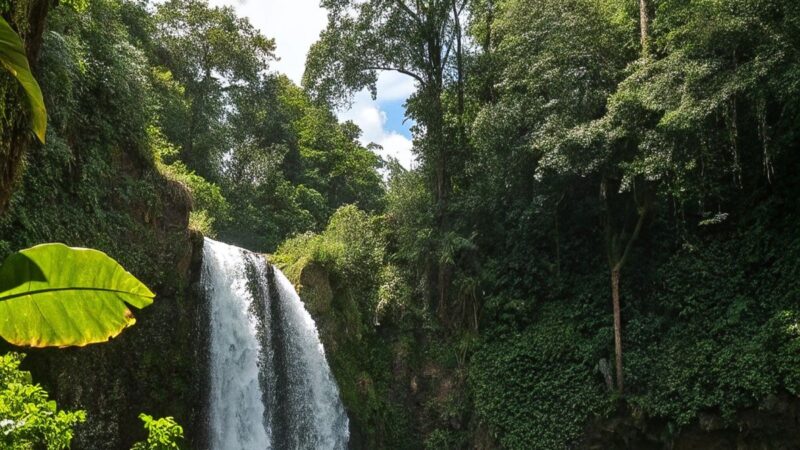 Opções para quem Foge do Carnaval