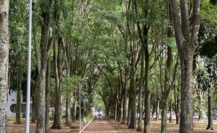 O lado real de Brasília que os turistas não veem