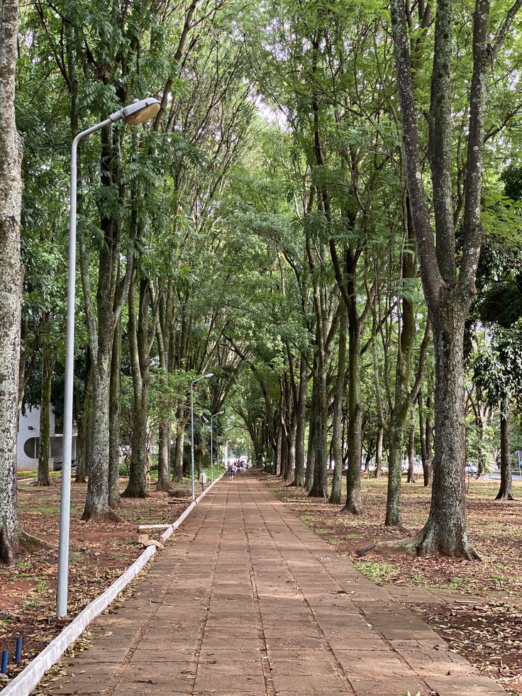O lado real de Brasília que os turistas não veem
