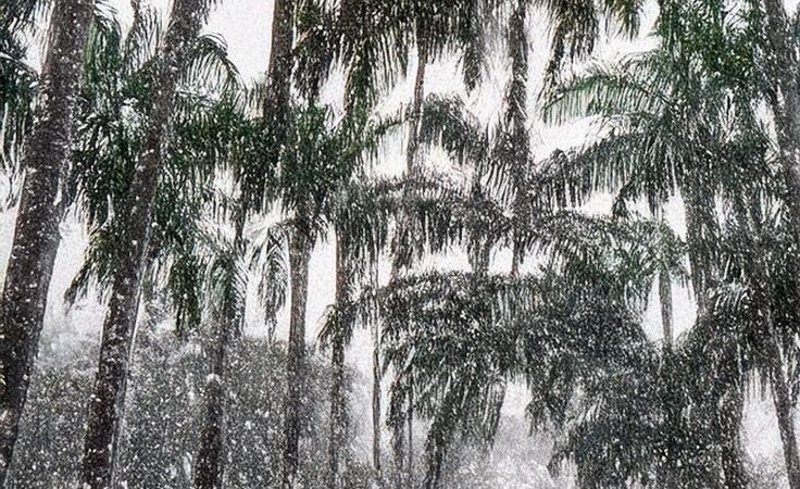 Já nevou em Brasília?