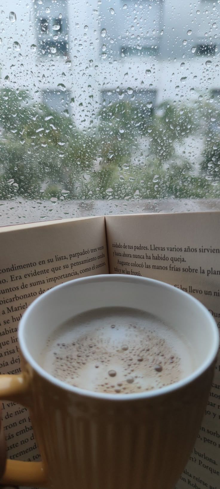 Quando o frio chega em Brasília, a cidade muda completamente