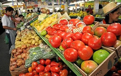 O valor das feiras de produtores locais para a economia do Distrito Federal