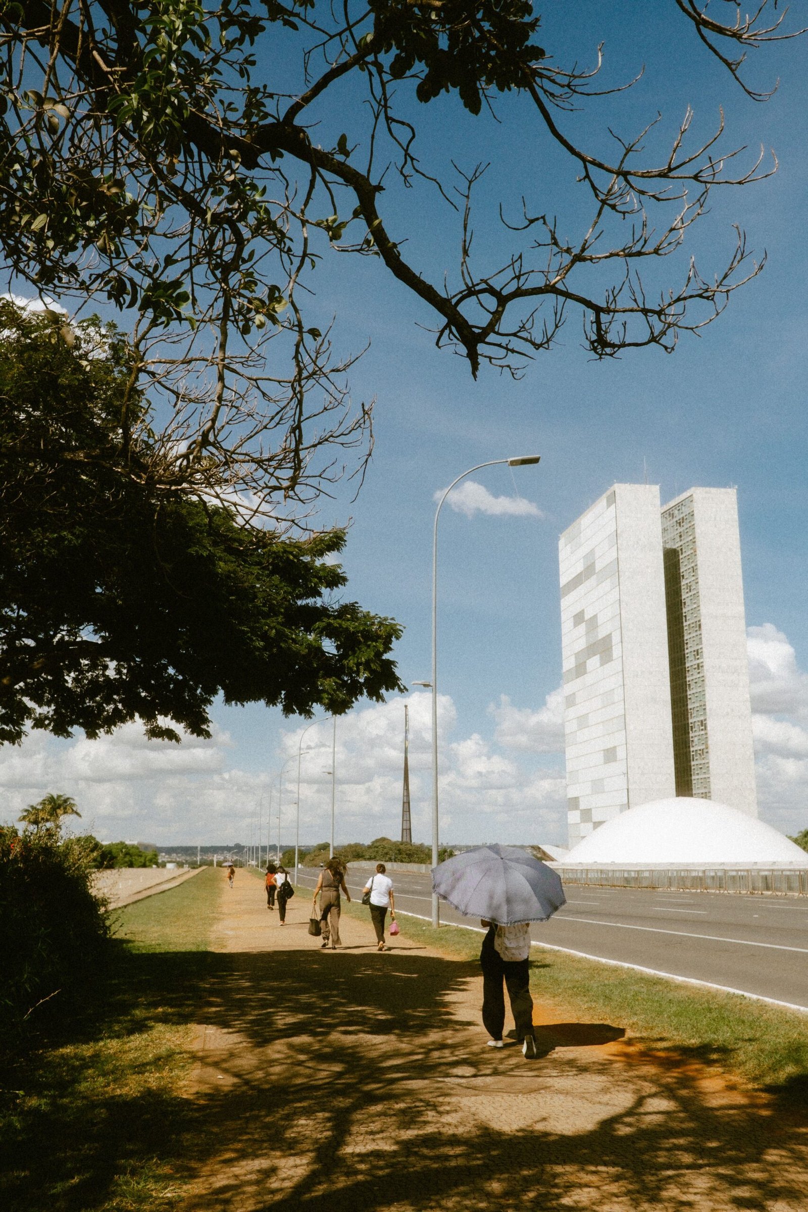 Por que Brasília atrai pessoas de todas as regiões do Brasil?