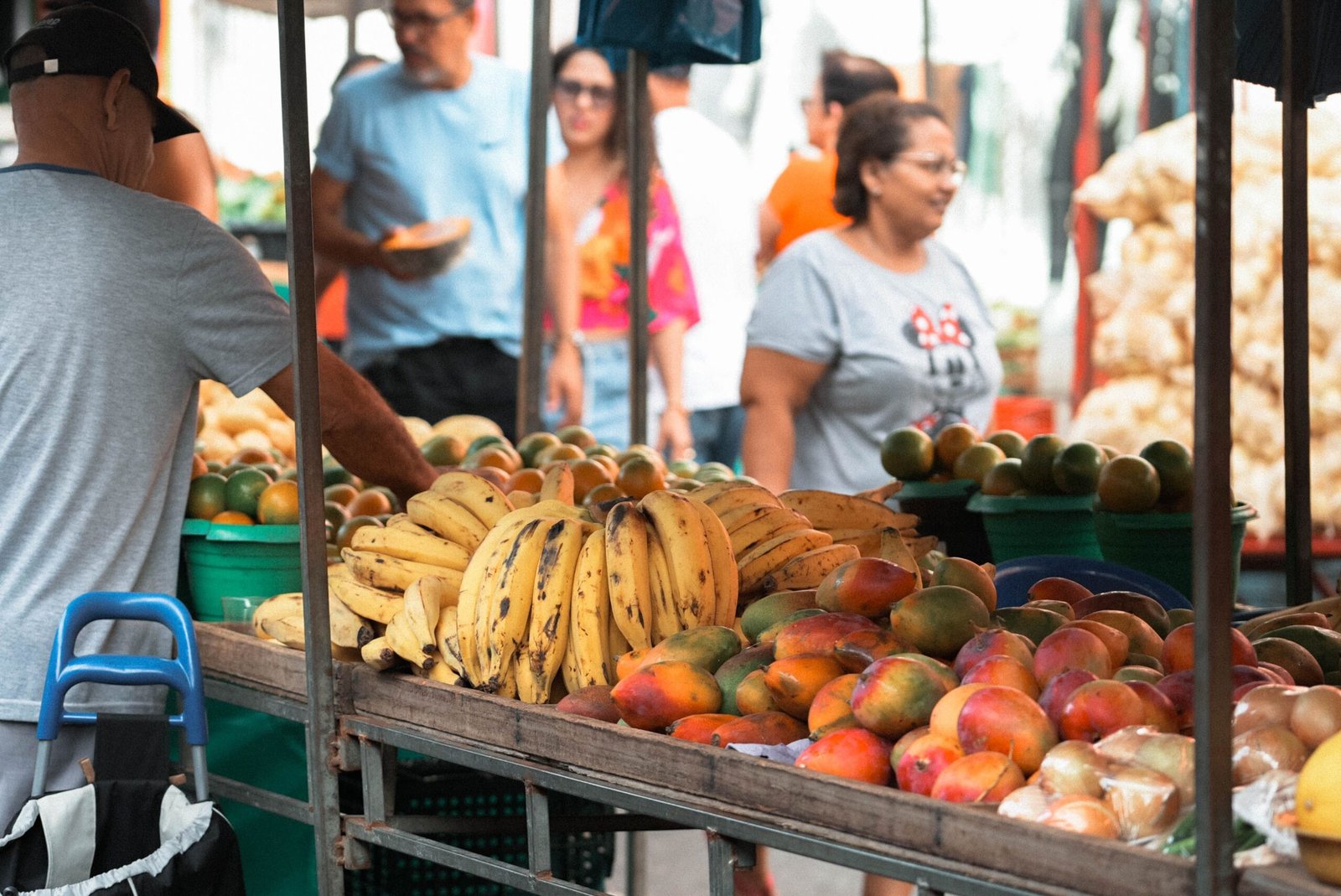 Como as feiras de produtores locais fortalecem a economia do Distrito Federal