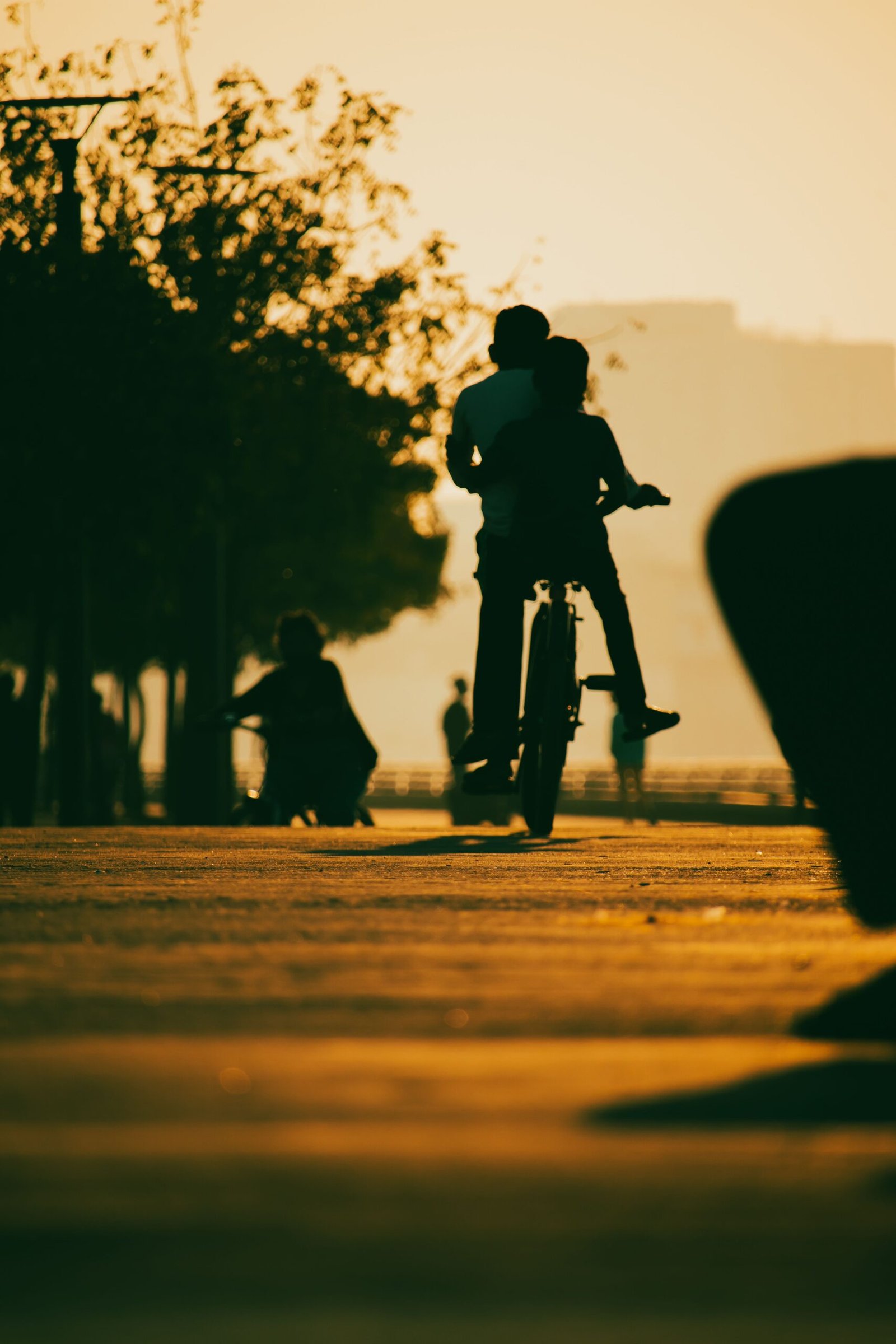 Como os parques urbanos transformam a rotina dos brasilienses