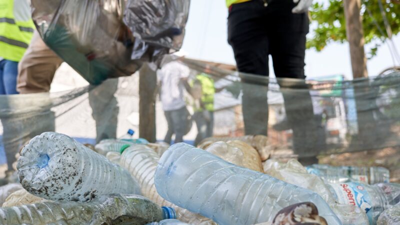 Como pequenas ações ajudam a construir cidades mais sustentáveis