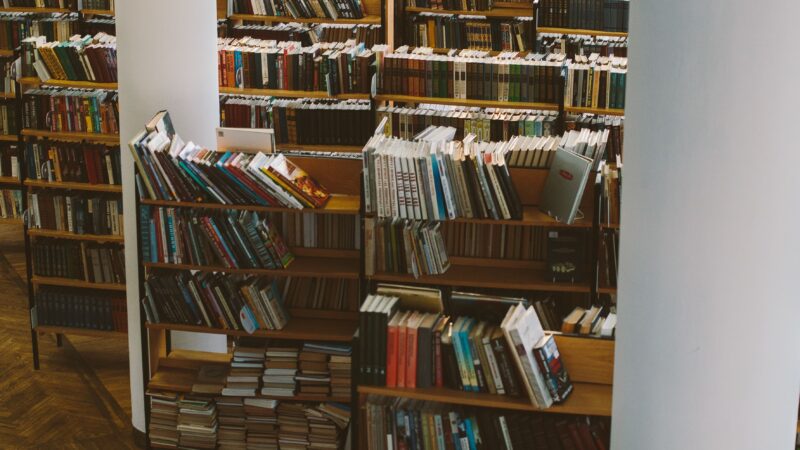 Como as bibliotecas públicas continuam relevantes na era digital