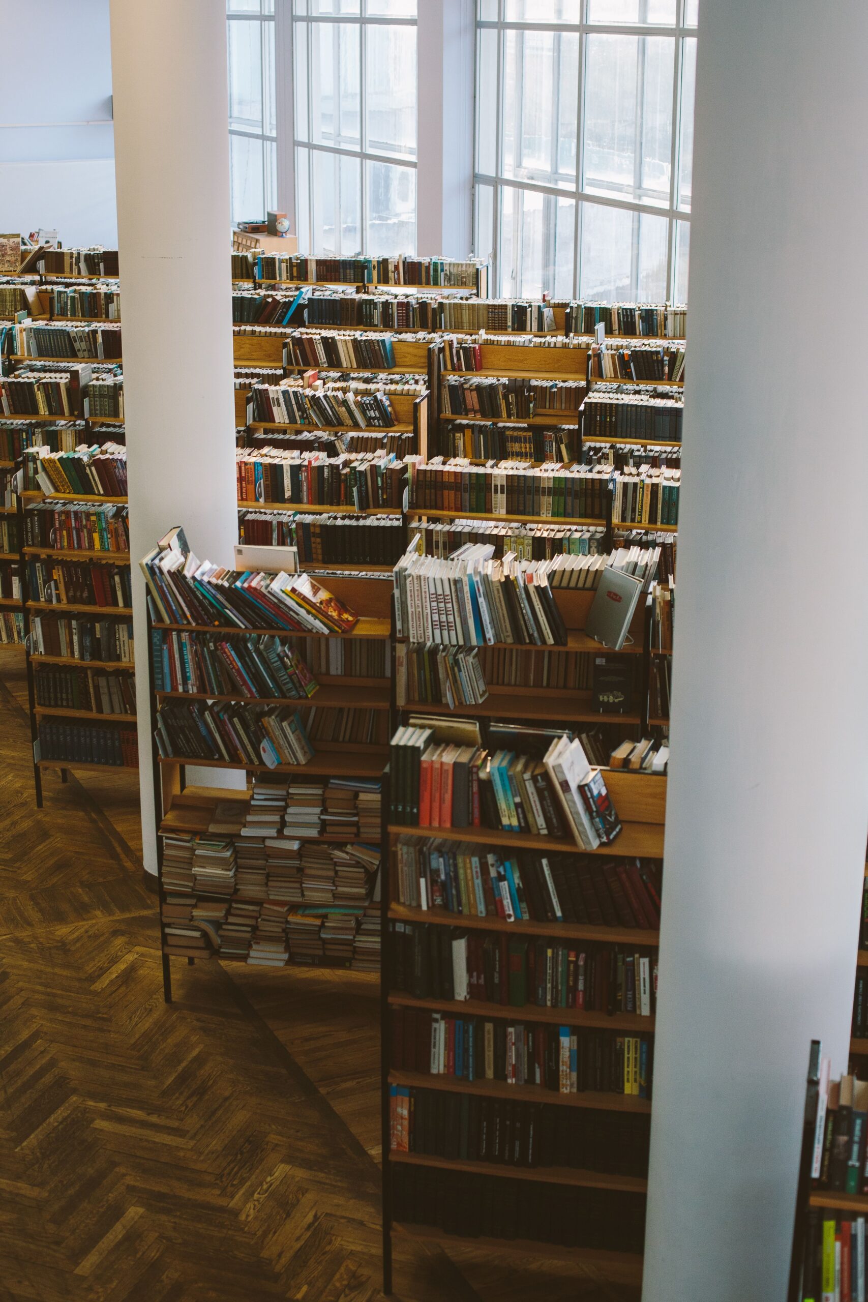 Como as bibliotecas públicas continuam relevantes na era digital