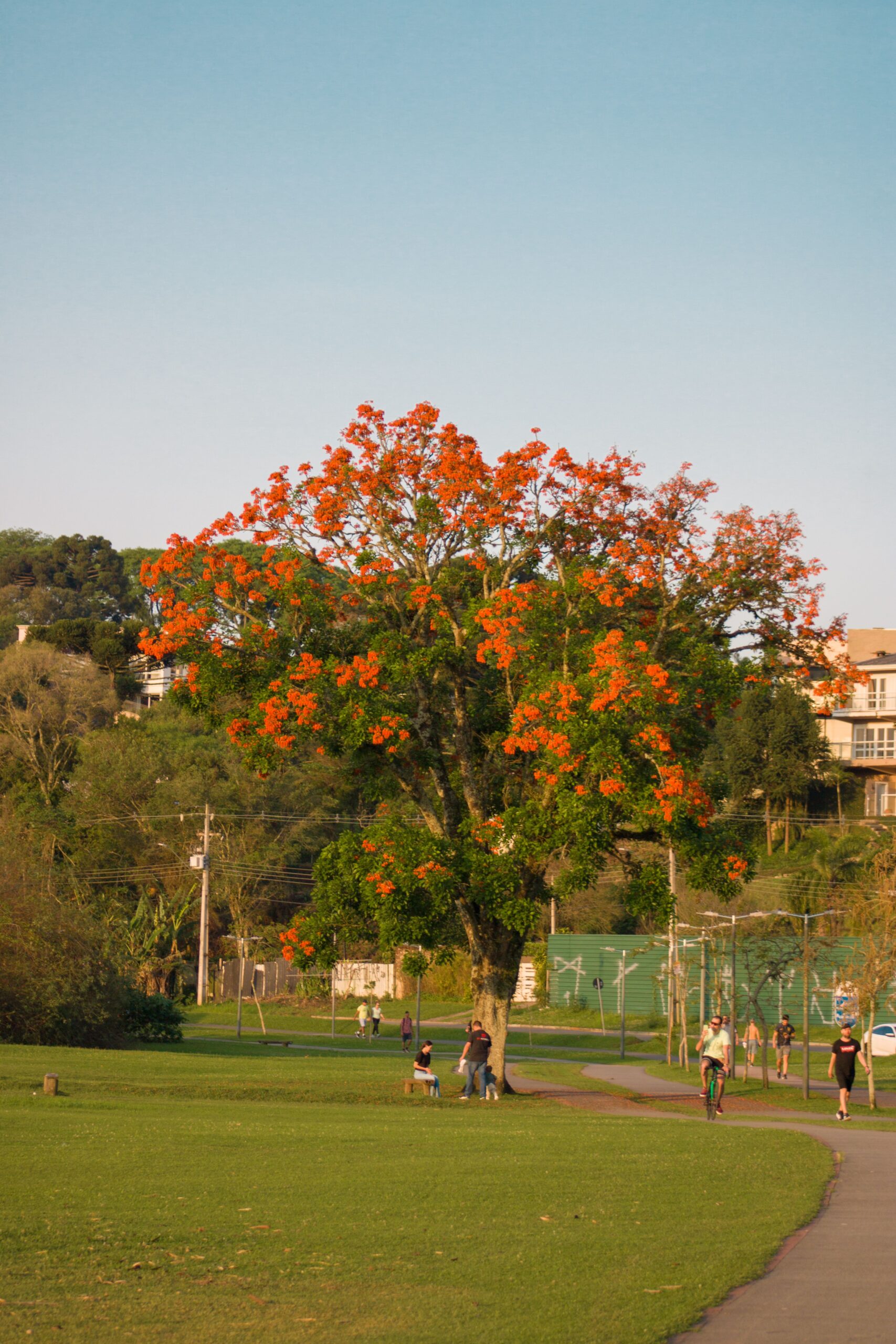 Brasília também é uma cidade para quem gosta de caminhar