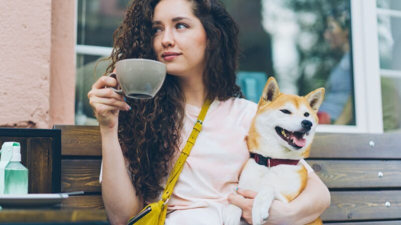 O crescimento dos espaços pet friendly no Distrito Federal