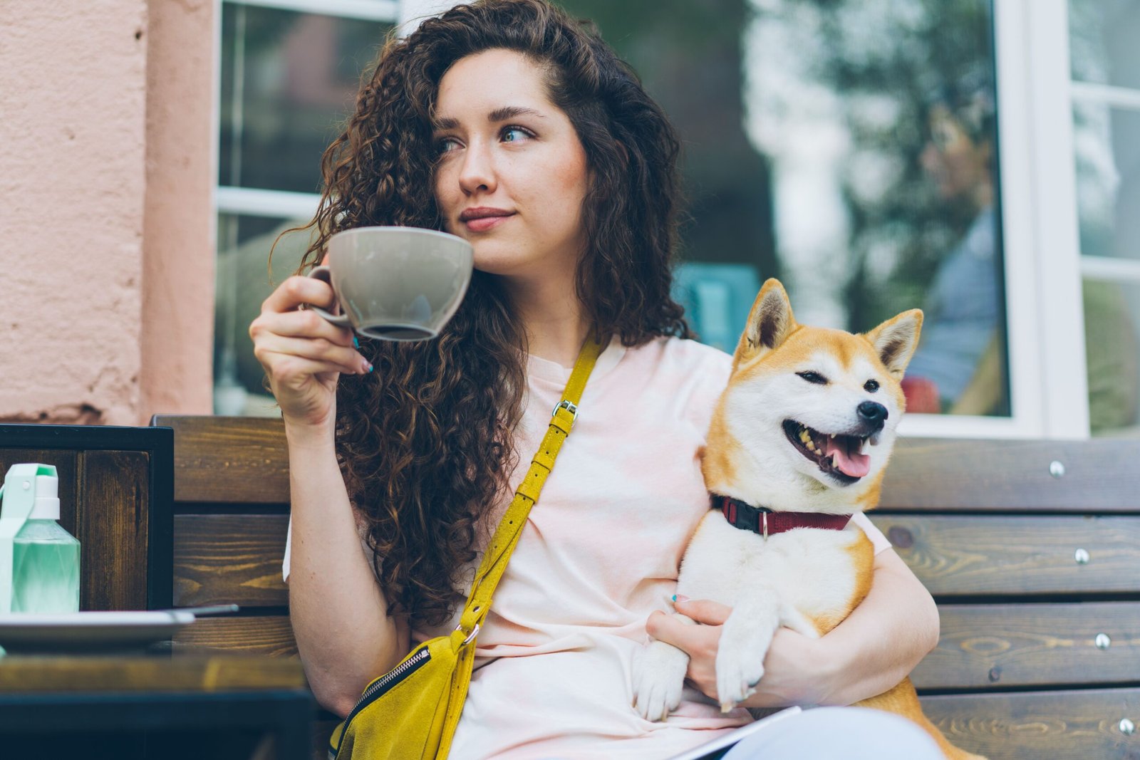 O crescimento dos espaços pet friendly no Distrito Federal
