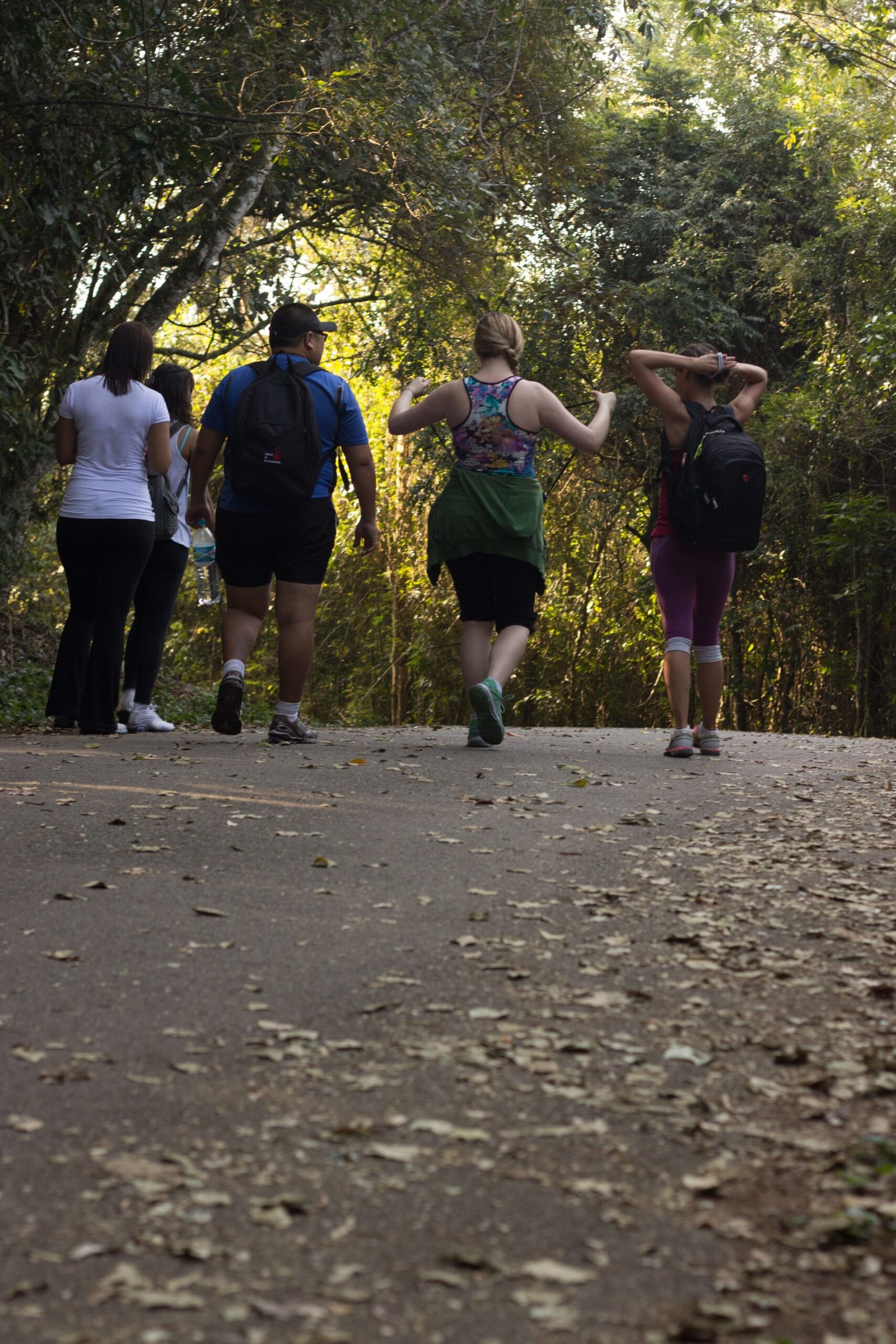 Parques urbanos: por que eles são essenciais para a qualidade de vida em Brasília?